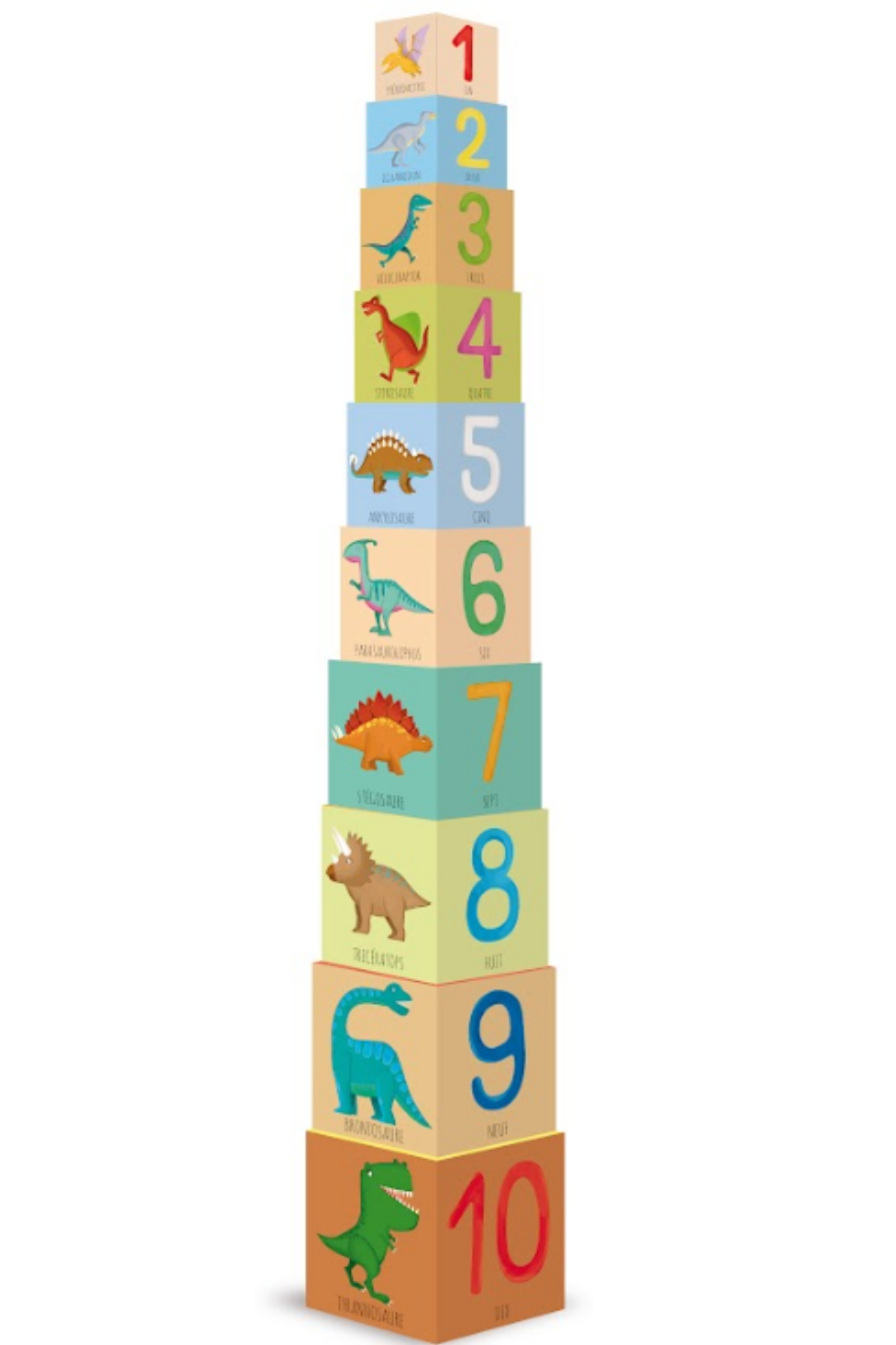 Sassi /EDU BLOCKS - DINOSAURS Çok Renkli