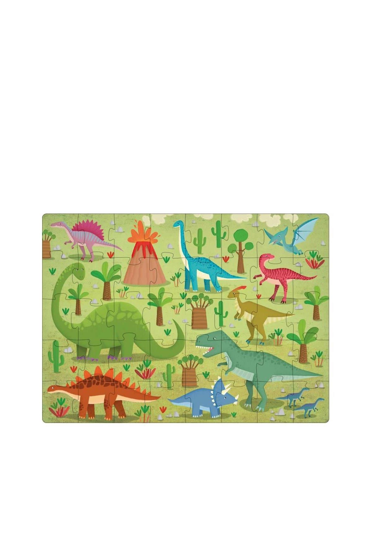 Sassi /LEARN THE WORDS WITH DINOSAURS Çok Renkli