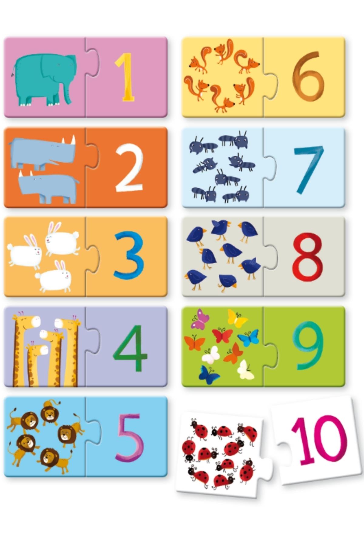 Sassi /PUZZLE 2 NUMBERS Çok Renkli