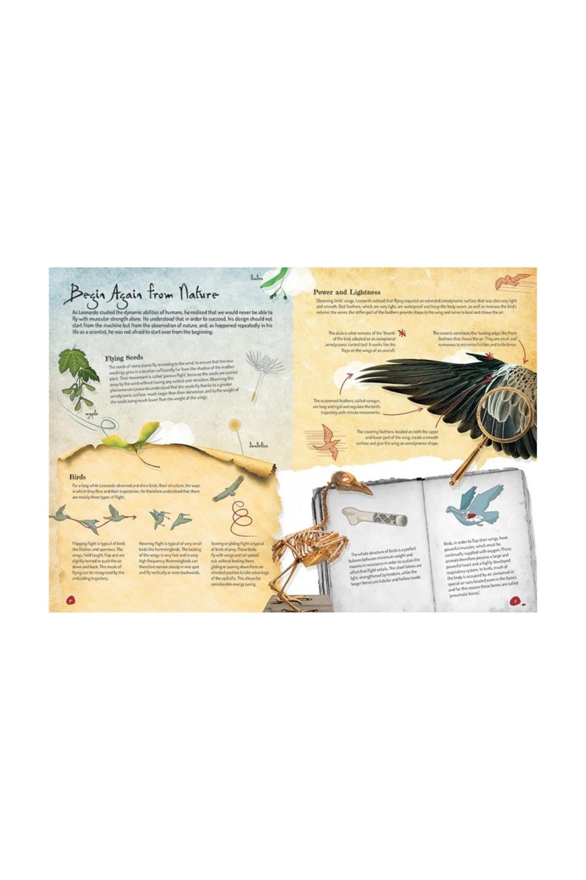 Sassi /THE INVETIONS OF LEONARDO DA VINCI - FLYING MACHIN Çok Renkli