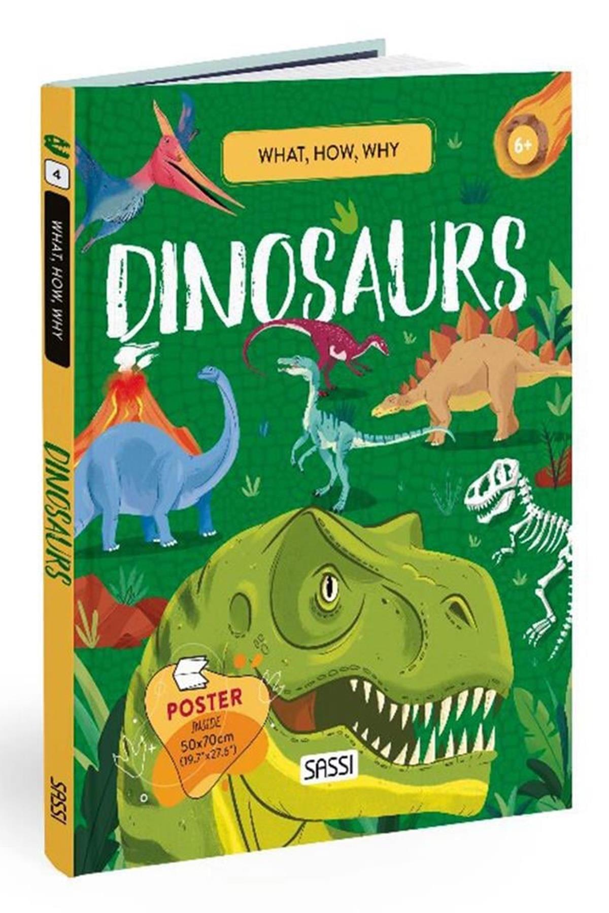 Sassi /WHAT, HOW, WHY - DINOSAURS Çok Renkli