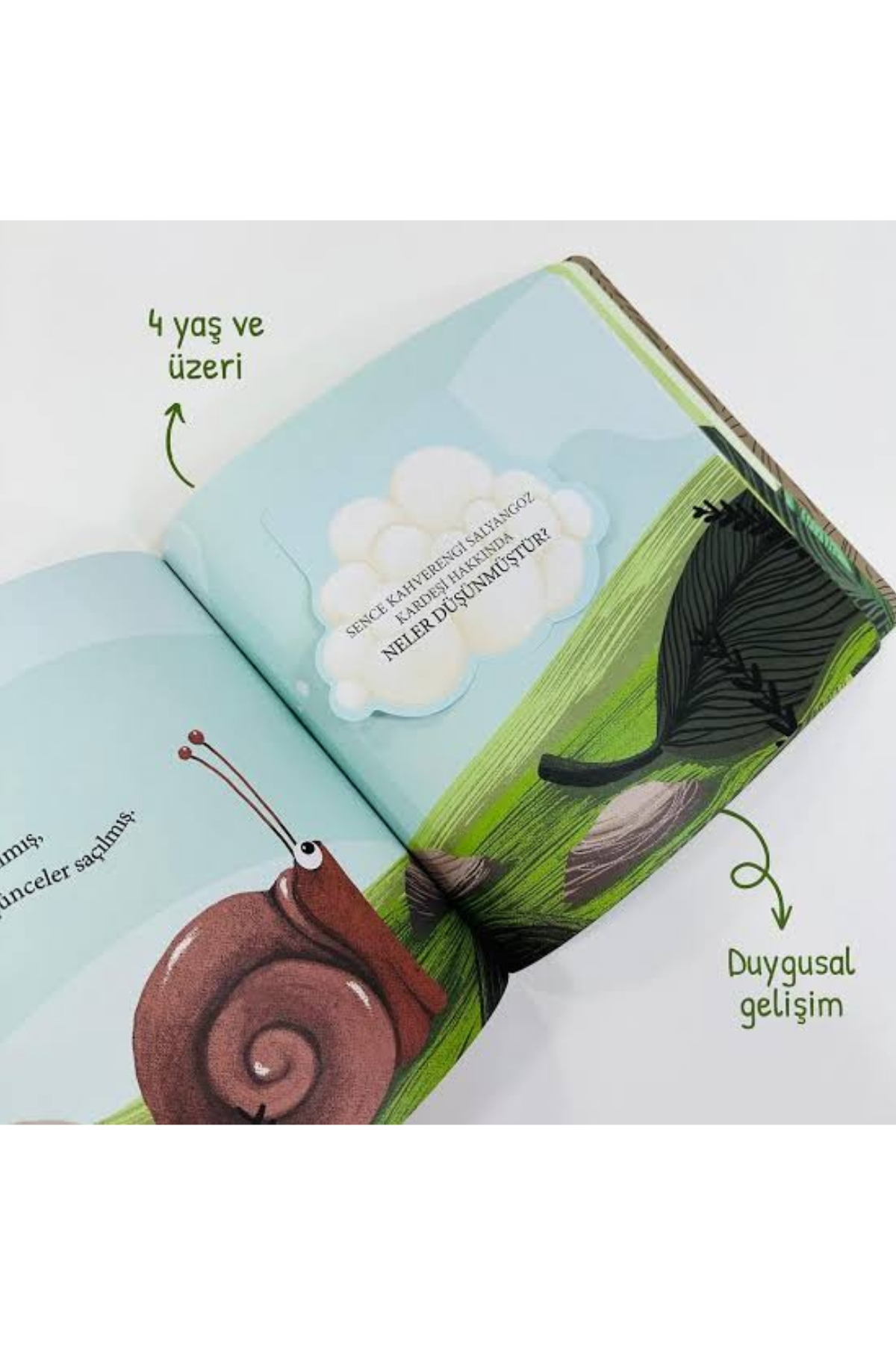 Sincap Kitap / Azıcık Aklım Karıştı-Kardeşim Beni Seviyor mu? Çok Renkli