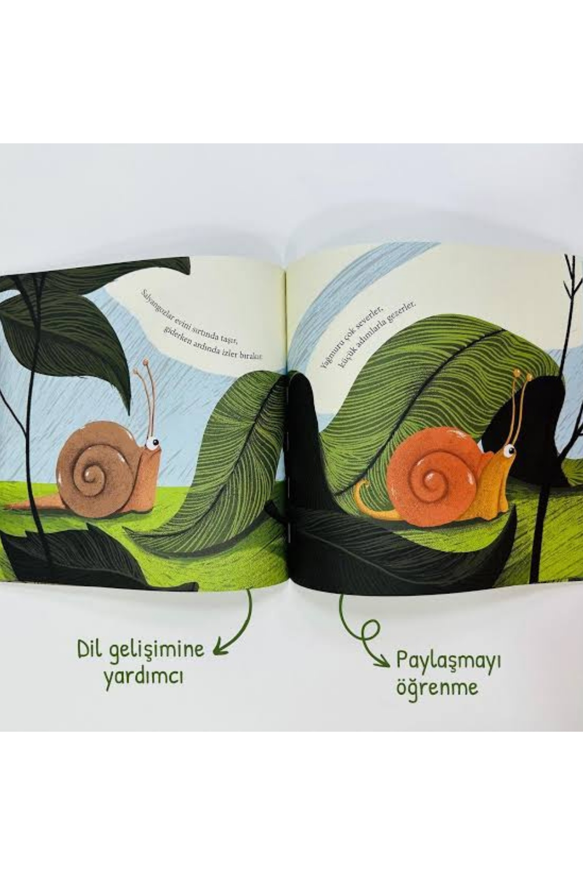 Sincap Kitap / Azıcık Aklım Karıştı-Kardeşim Beni Seviyor mu? Çok Renkli