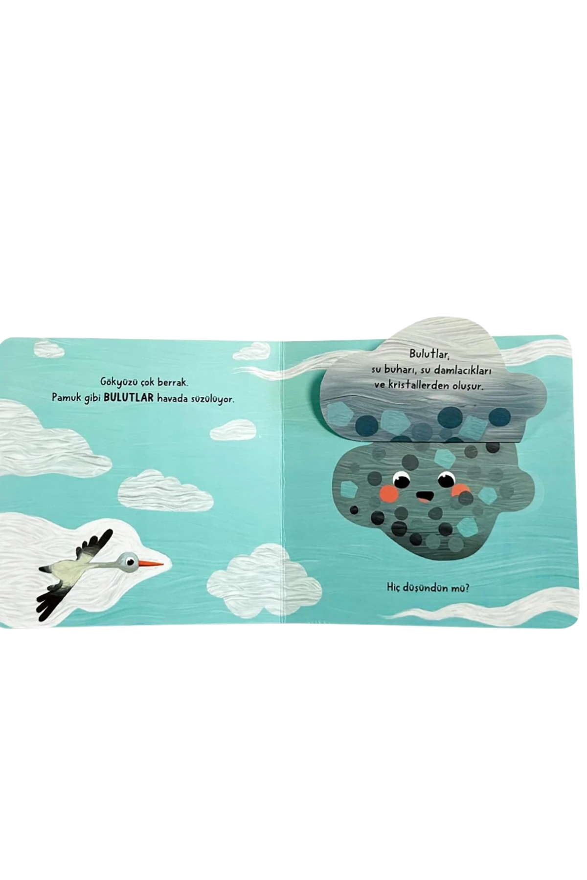 Sincap Kitap / Bebek Üniversitesi 4-Hikâyeli İlk Kavramlarım Set ( 4 Kitap) Çok Renkli