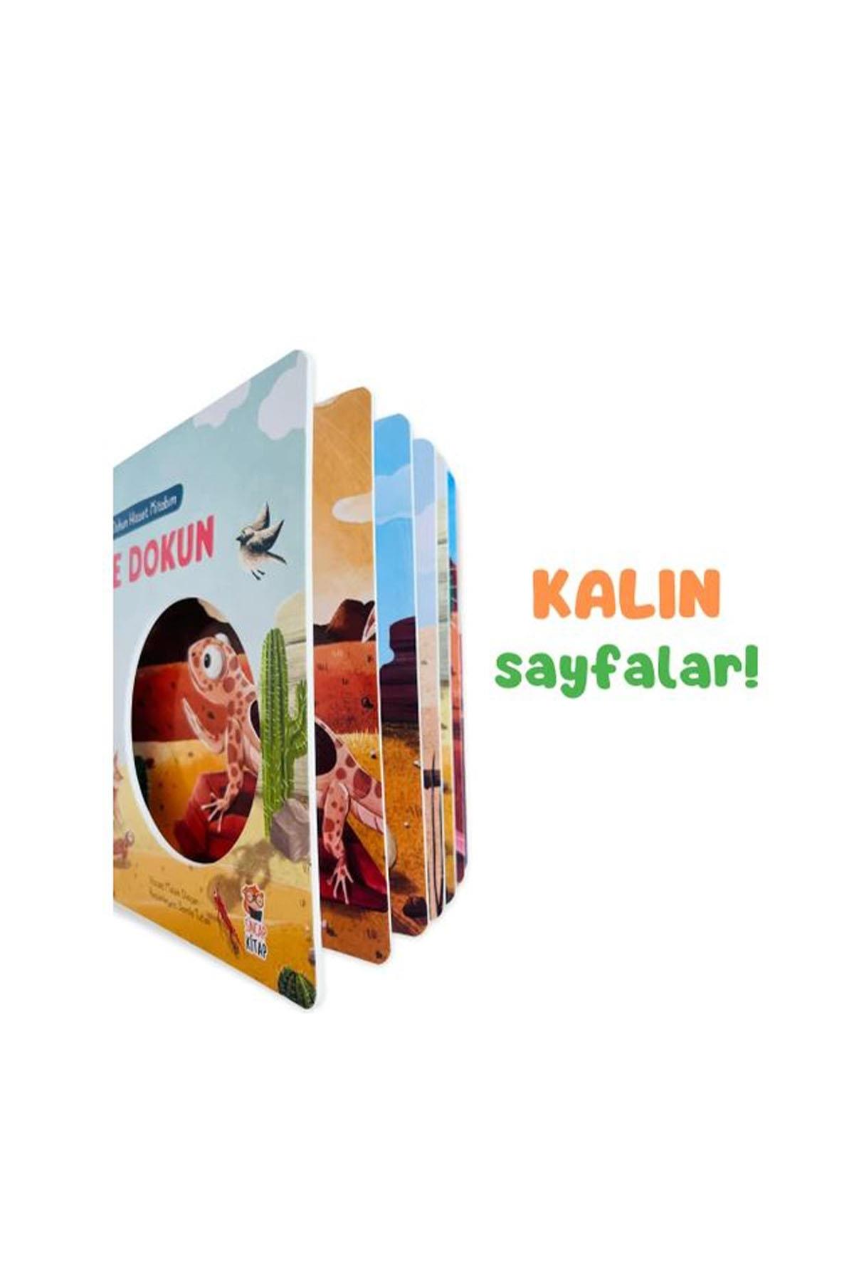 Sincap Kitap / İLK DOKUN HİSSET KİTABIM Çöle Dokun Çok Renkli