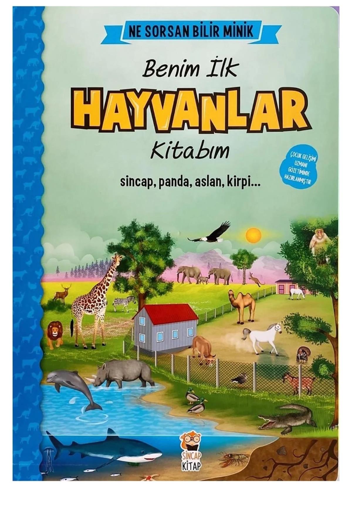 Sincap Kitap / Ne Sorsan Bilir Minik - İlk Büyük Hayvanlar Kitabım Çok Renkli