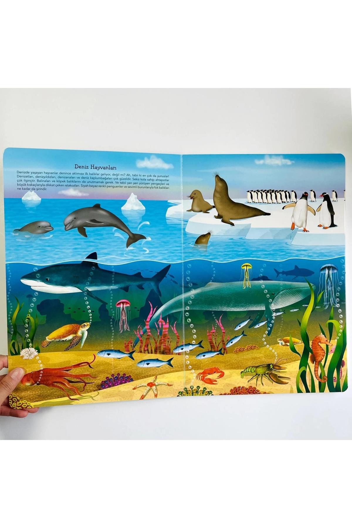 Sincap Kitap / Ne Sorsan Bilir Minik - İlk Büyük Hayvanlar Kitabım Çok Renkli