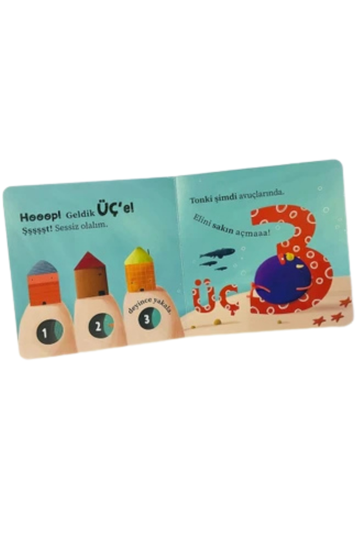 Sincap Kitap / Tonton Tonki ile Sayılar Çok Renkli