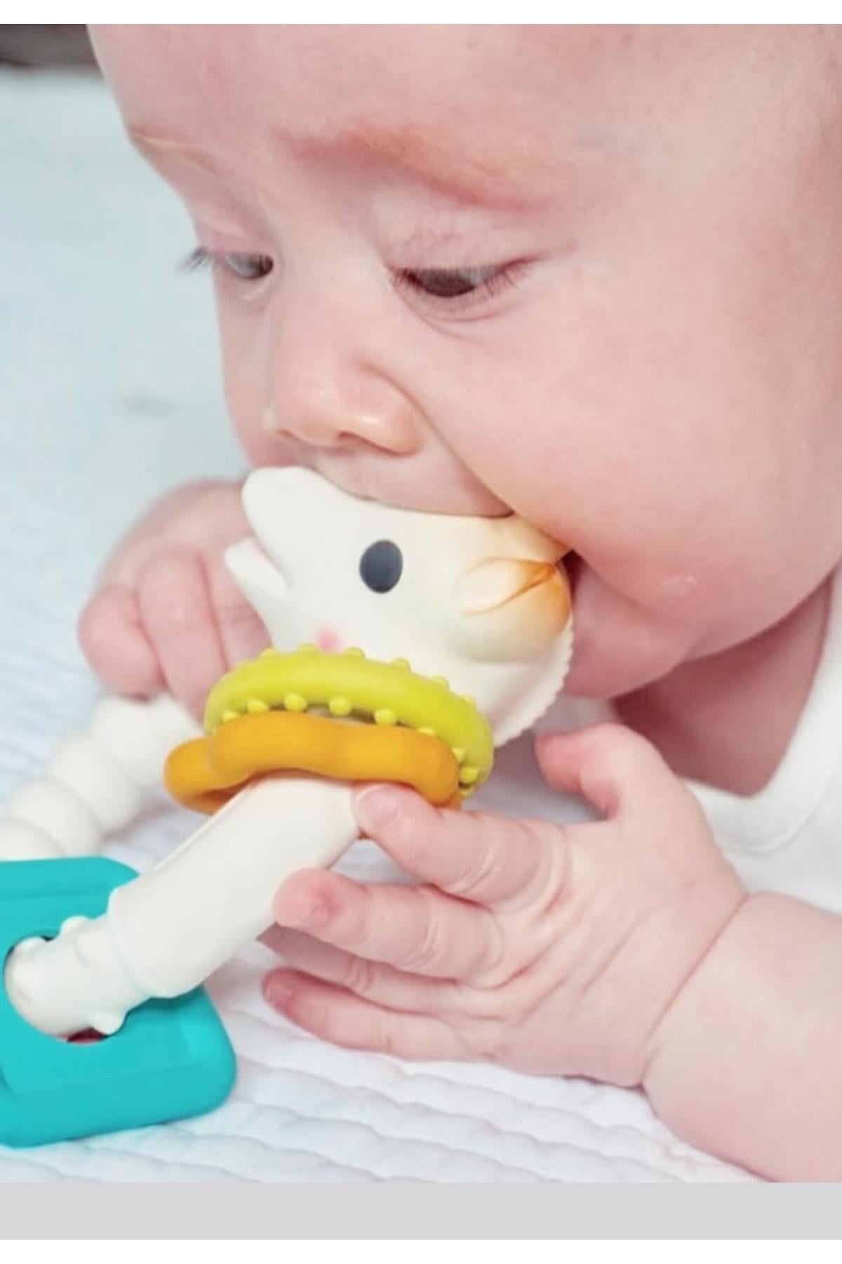 Sophie la Girafe So Pure Coloring Renkli Halka Diş Kaşıyıcı Çok Renkli