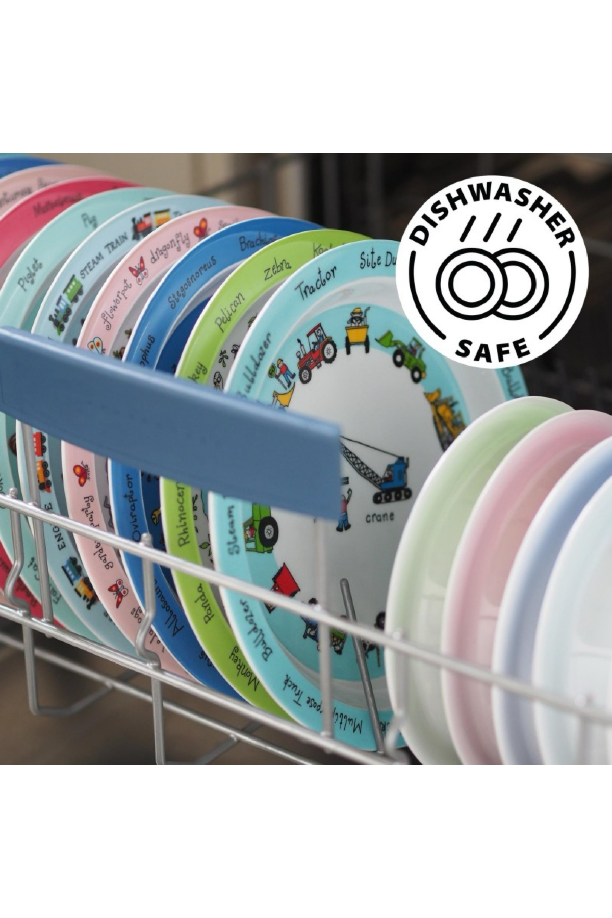 Tyrrell Katz Melamin Tabak Space Çok Renkli