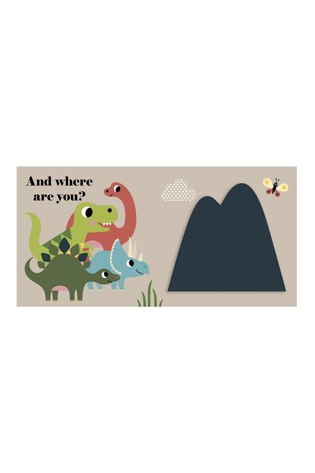 WHERE IS MR T-REX Çok Renkli