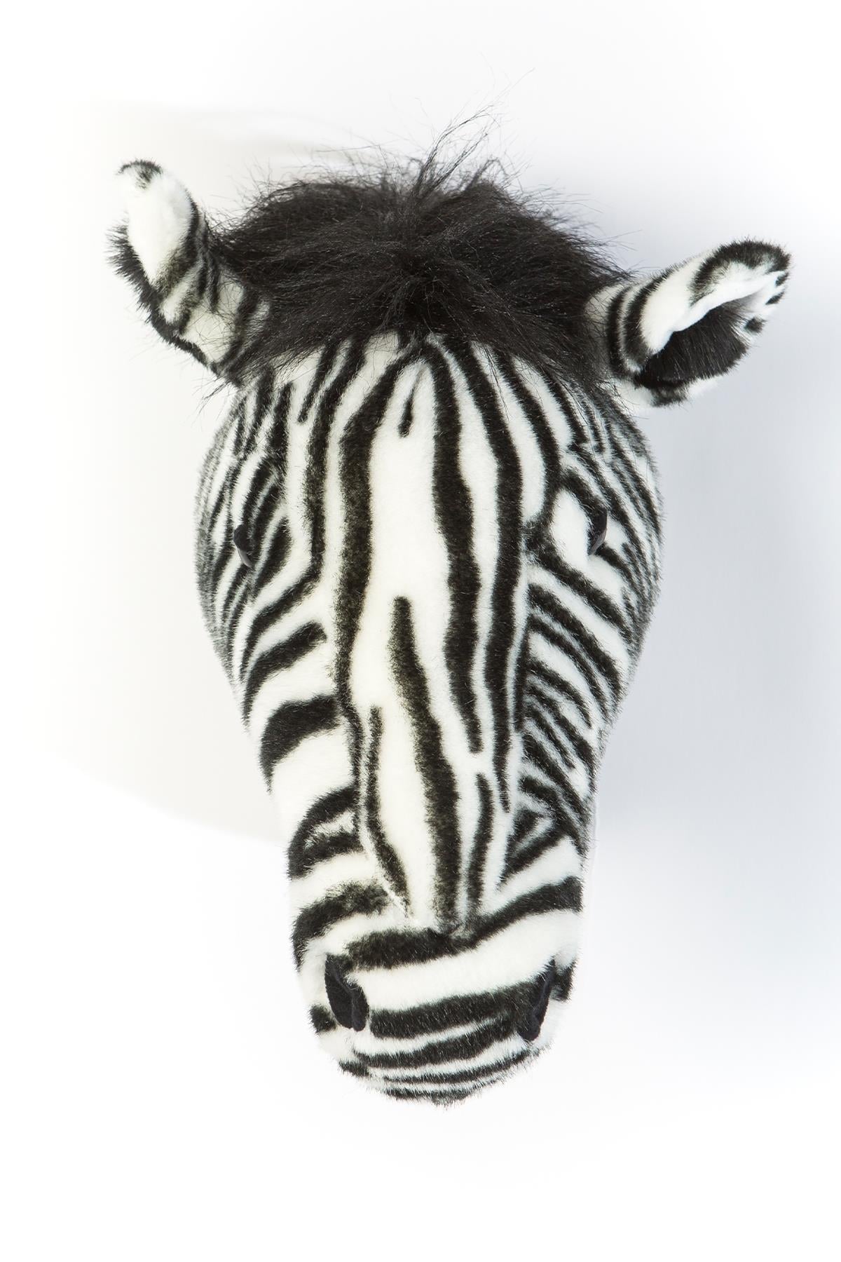 Wild&Soft / Zebra Daniel Std