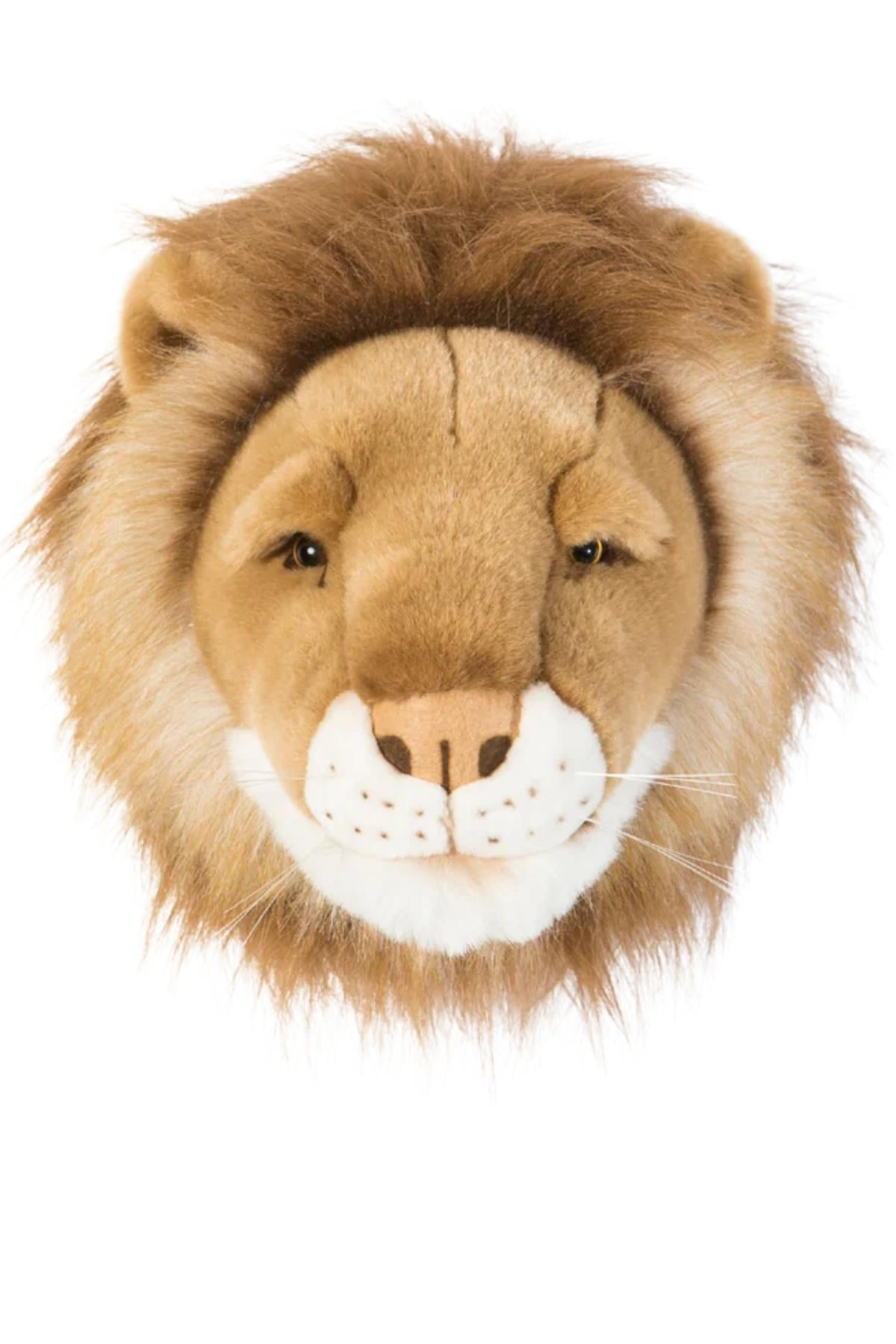 Wild&Soft / Aslan Cesar Std