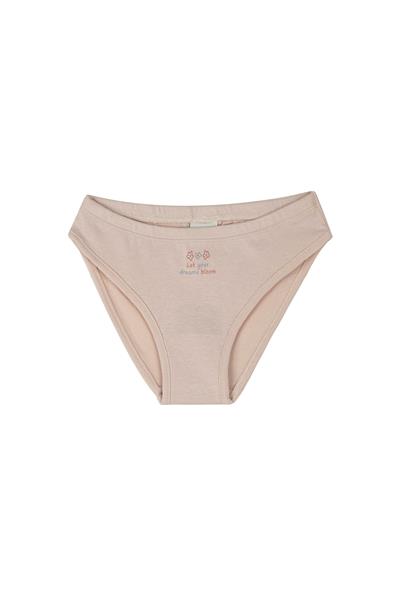 Antebies / Çiçek Buketi Külot Üçlü Set Pembe