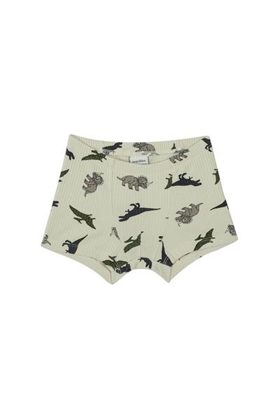 Antebies / Dinazorların Macerası Boxer Üçlü Set Bej