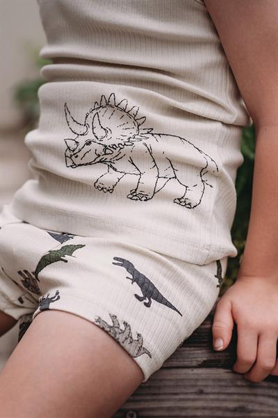 Antebies / Dinazorların Macerası Boxer Üçlü Set Bej