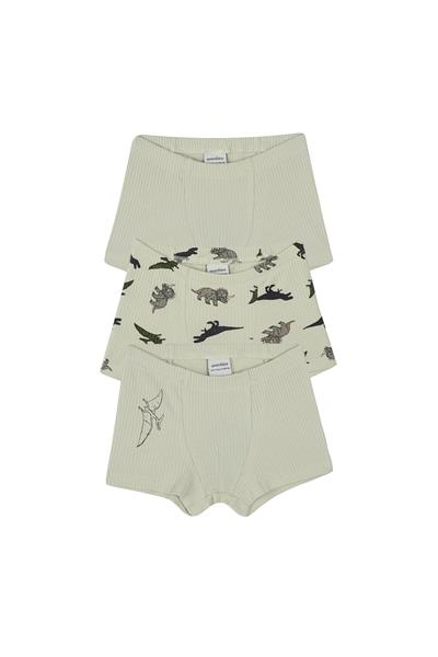 Antebies / Dinazorların Macerası Boxer Üçlü Set Bej