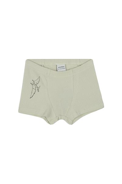 Antebies / Dinazorların Macerası Boxer Üçlü Set Bej