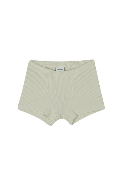 Antebies / Dinazorların Macerası Boxer Üçlü Set Bej