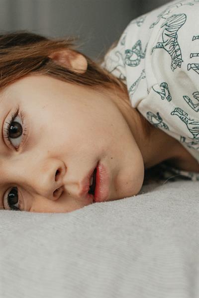 Antebies / Hayvanlar Alemi Uzun Kollu Pijama Takımı Yeşil