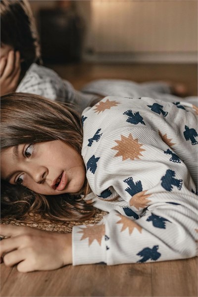 Antebies / Kuş & Güneş Uzun Kollu Pijama Takımı Gri