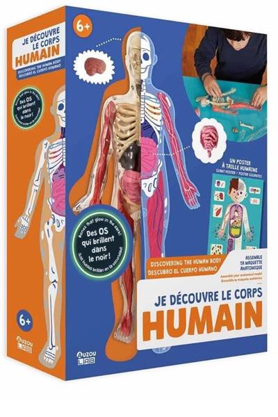 Auzou / İnsan Vücudunu Keşfediyorum Poster -Model ve Kitap Çok Renkli