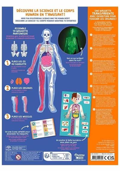Auzou / İnsan Vücudunu Keşfediyorum Poster -Model ve Kitap Çok Renkli