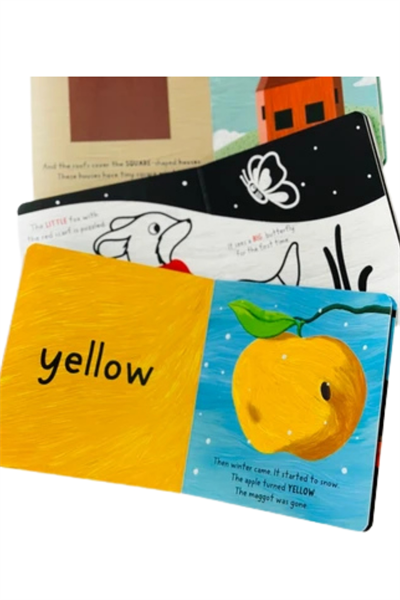 BABY UNİVERSİTY FİRST CONCEPTS STORİES (4 BOOK) Çok Renkli