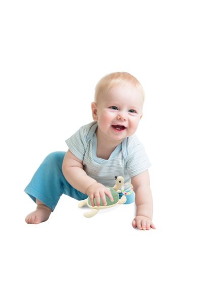 BABYJEM ÇINGIRAKLI KAPLUMBAĞA Mint