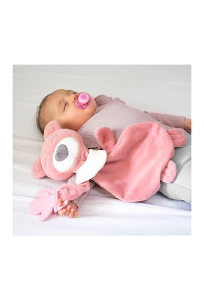 BABYJEM DİŞ KAŞIYICILI UYKUCU AYICIK Gülkurusu