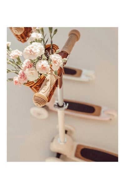 Banwood Vintage Scooter | Pembe Çok Renkli