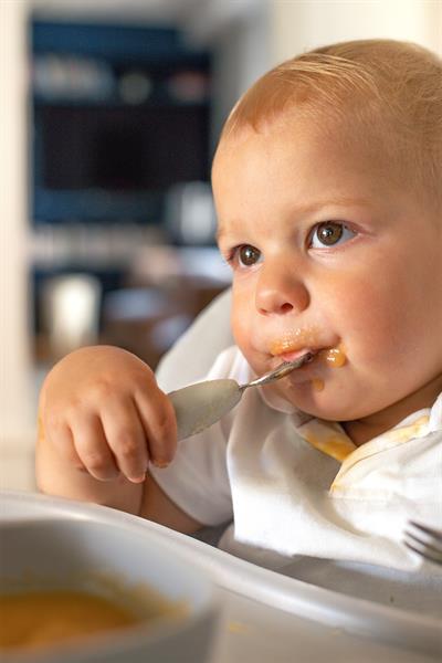 Beaba / Paslanmaz Çelik Çatal Kaşık Şeti Grey