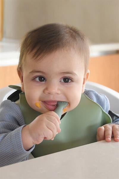 Beaba / Silikon Kaşık Seti sage green/grey