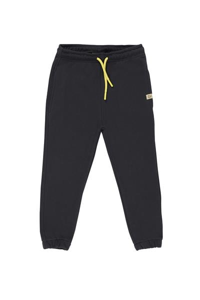Beetlebeez /HAPPY TRINITY JOGGER-GREY Gri