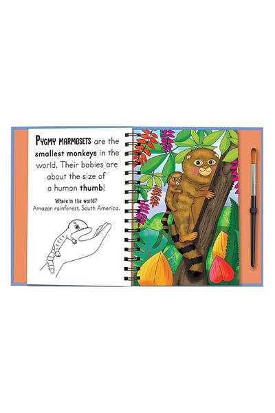 Imagine That / Magic Water Colouring - Baby Animals Çok Renkli