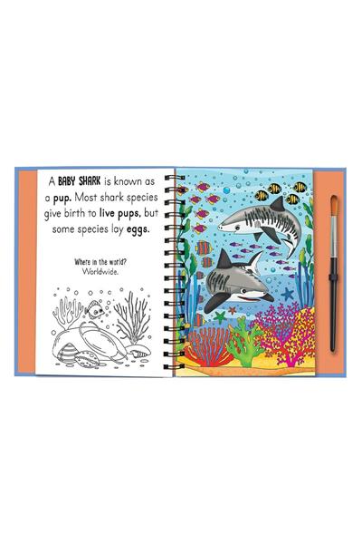 Imagine That / Magic Water Colouring - Baby Animals Çok Renkli