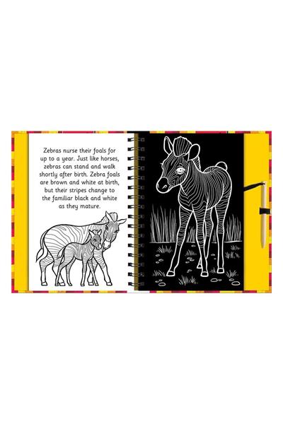 Imagine That /Scratch And Draw - Animals Çok Renkli