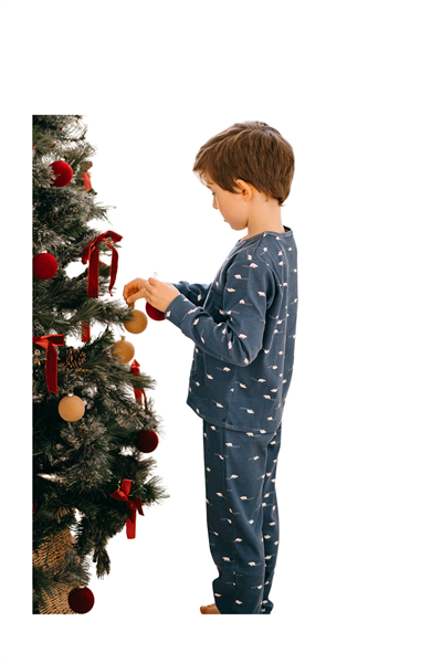 Antebies / Kutup Ayısı Uzun Kollu Pijama Takımı Lacivert