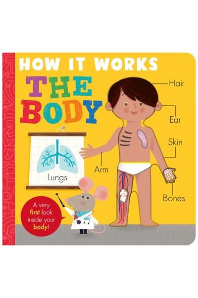 Little Tiger / How it Works - The Body Çok Renkli