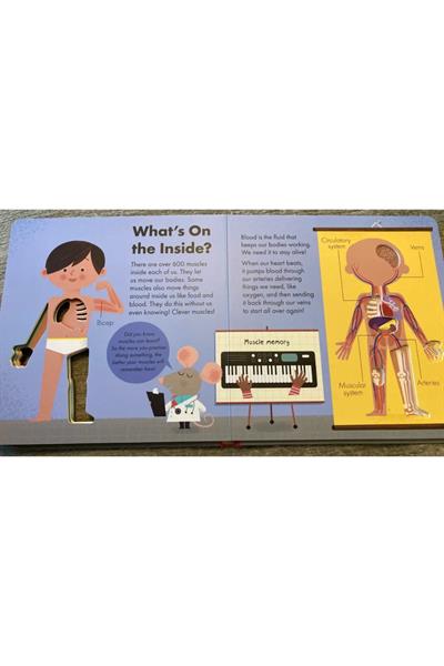 Little Tiger / How it Works - The Body Çok Renkli