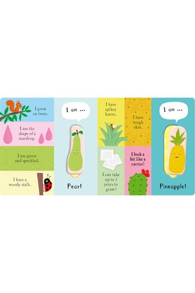 Little Tiger / We Love Fruit Çok Renkli