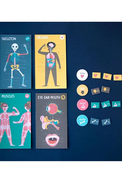 LONDJI  Lonji Learn&Fun - Inside me Çok Renkli