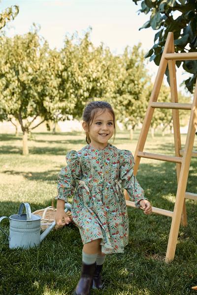 Maya Luca / Bow Long Sleeve Dress (Green) Çok Renkli