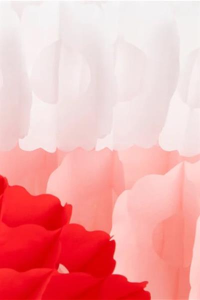 Meri Meri - 3 Festive Honeycomb Garlands - Festival Petekli Asılan Süsler - 3lü Çok Renkli