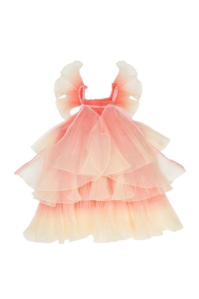 Meri Meri - Fairy Costume  - Peri Kızı Elbise - 3-4 Yaş Çok Renkli