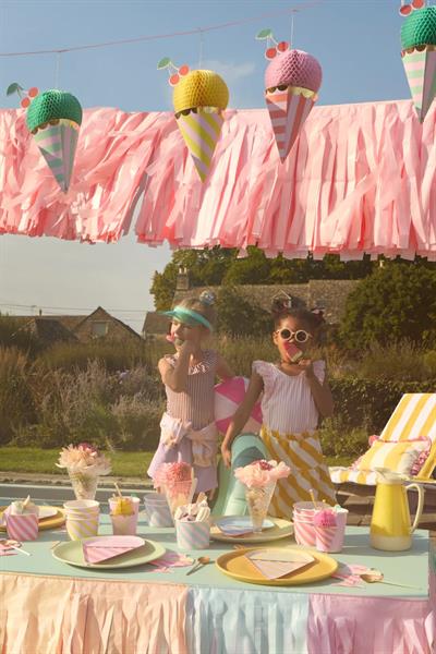 Meri Meri - Pembe Saçaklı Çelenk Çok Renkli