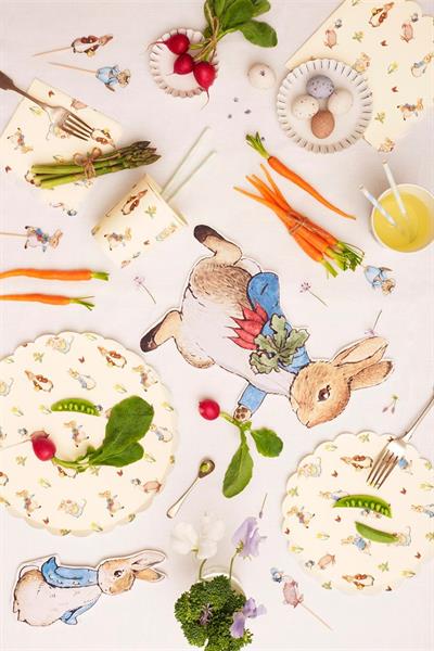 Meri Meri - Peter Rabbit Plates - Peter Rabbit Tabak - 12li Çok Renkli