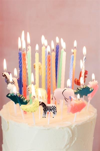 Meri Meri - Safari Candles - Safari Mum - 6lı Çok Renkli