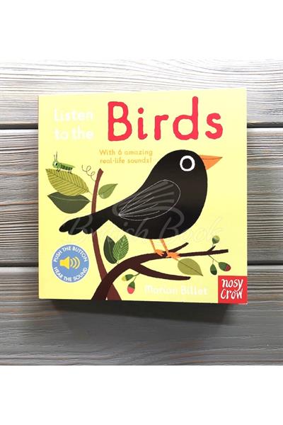 Nosy Crow / Listen To The Birds Çok Renkli