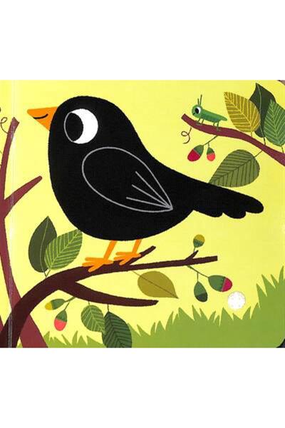Nosy Crow / Listen To The Birds Çok Renkli